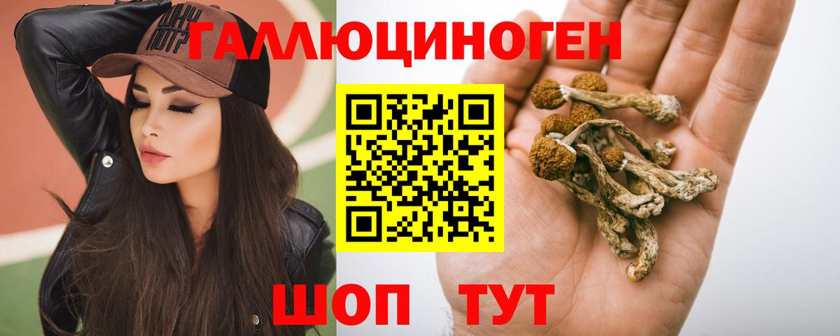 Ачинск  Галлюциногенные грибы прущие грибы  Вход с VPN 