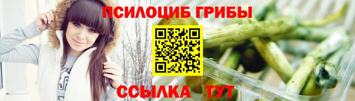 Псилоцибиновые грибы Psilocybine cubensis Ачинск